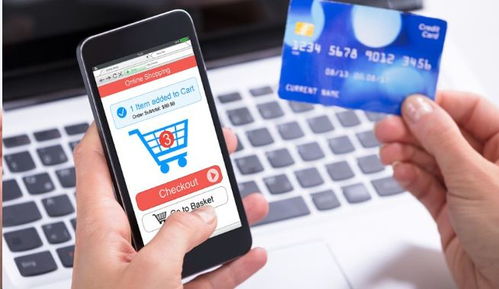 二、 实体账户概述