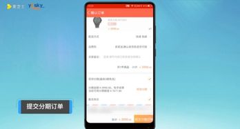 代付款过程中的信息访问