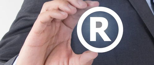 2. 选择合适的代理机构