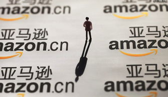 设定有竞争力的价格