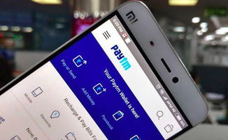 一、 电商领域中的重要一步：Paytm平台开店的意义