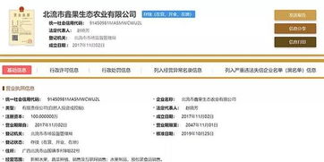 Souq平台背后的强大支持