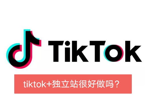 二、 巧妙利用TikTok互动机制，引导流量至独立站