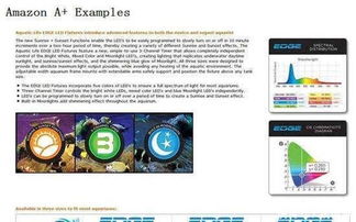 5. 打造专属品牌页面