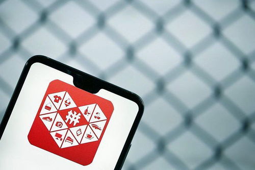 价格保护的定义与适用范围