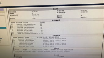 关税预征：HS编码背后的税负考量