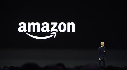 一、 了解所在国惯与商标注册的相关律法法规