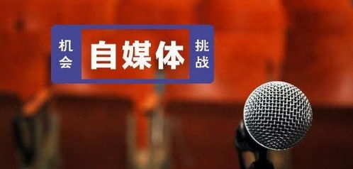 3. 积极与粉丝互动