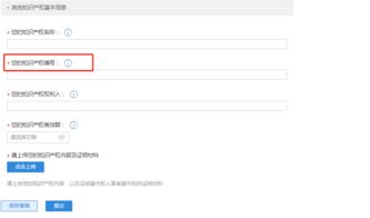 六、 知识产权保护：原创与授权的重要性