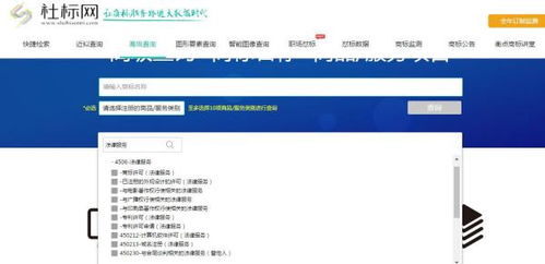 公司名称重名查询步骤