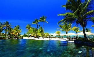 毛里求斯公司注册形式选择：多样化发展之路