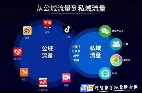 与粉丝互动：构建紧密的社区关系