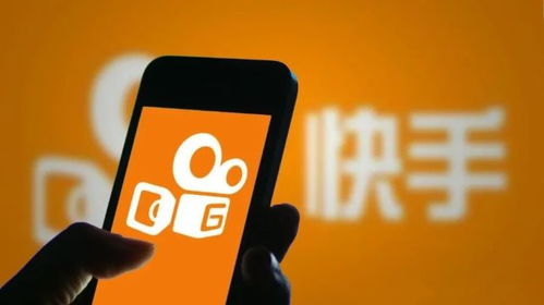 四、 平台对代购店的态度与变化趋势