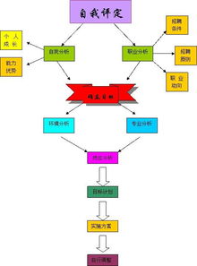 一、 了解日本市场与Shein平台情况