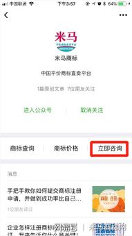 提交申请与审查过程