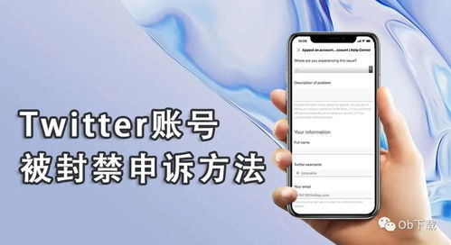 2. 准备申诉材料