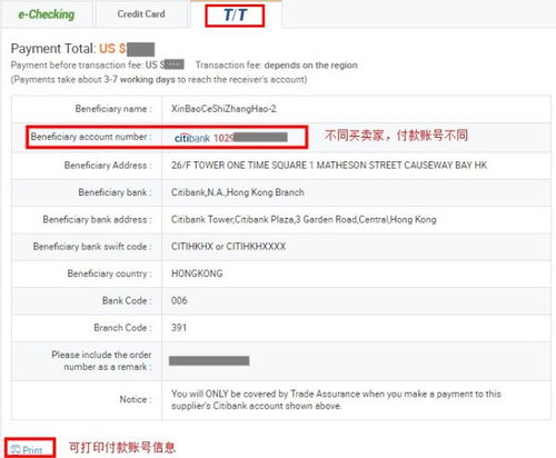 电汇速度与Stripe的效率优势