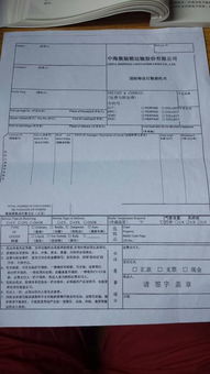 海运提单的种类与出具方式