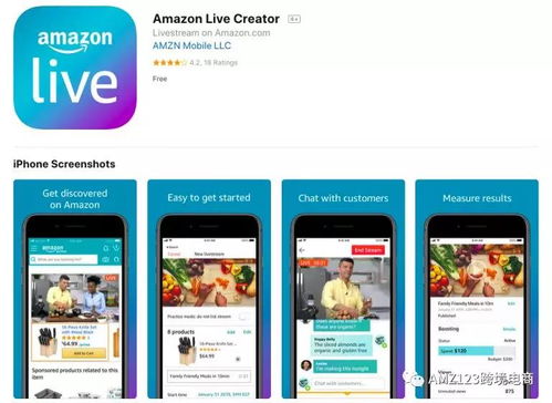 一、 产品描述与广告策略