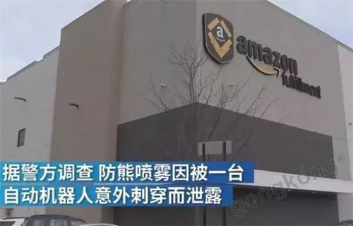 四、亚马逊卡派仓库混乱现象的应对措施