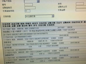 华美银行Velo账户被冻结2025年常见原因及高效解冻方法