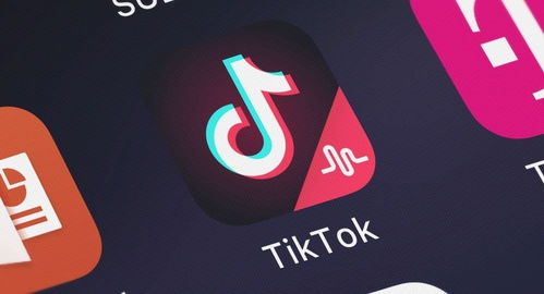 一、 TikTok美国版登录攻略