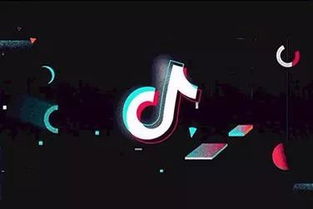 一、 抖音的市场地位：繁荣背后的挑战