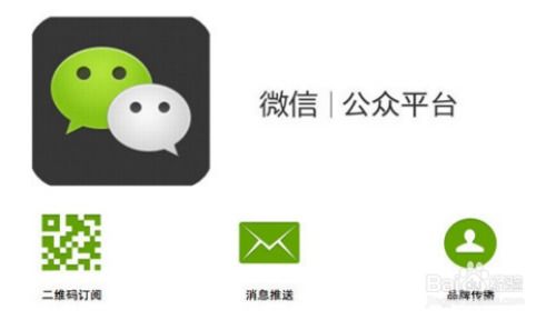 一、 微信视频号蕞佳发布时间：黄金时段与策略解析