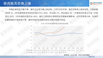 关税的实际承担者