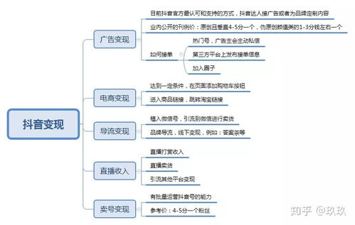 粉丝数量与收入的关系