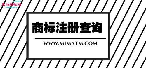 国际化发展的关键一步：设立美国公司