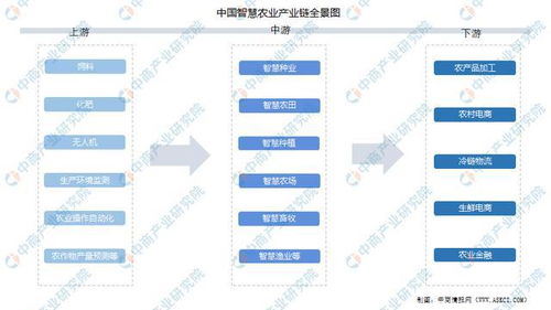 1. 村里市场潜力