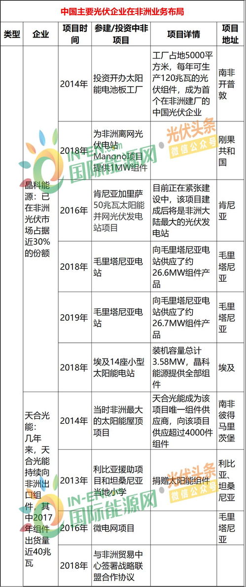 投资策略与市场导向