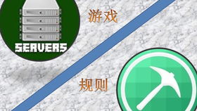 2. 标准遵守与适应性调整