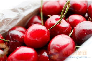 三、 进口车厘子报关资料