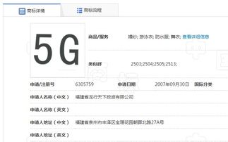 4.1 同过电子系统提交
