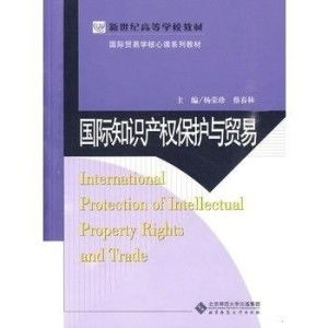 一、 知识产权国际保护措施概述