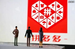 一、 拼多多图书专营店所需授权