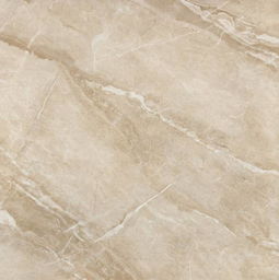 二、 亚马逊瓷砖的质量分析