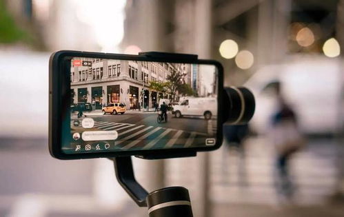 1. 国外素材平台的借鉴与整合