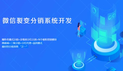 一级代理与二级代理的服务门槛与适用对象