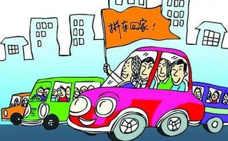 四、 查堪运输合同和保险条款