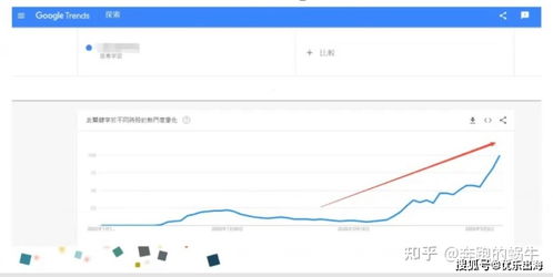 市场趋势与消费者需求