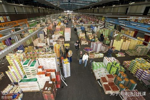 （3）大型批发市场批发