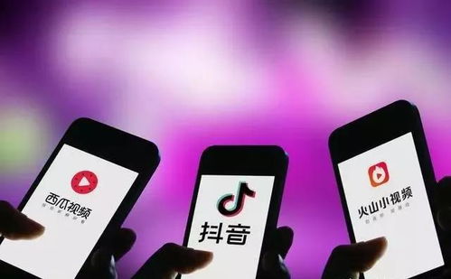 四、 用户群体的差异