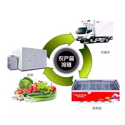 科学合理的包装与装载