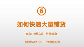 四、 虾皮马来西亚市场的运营策略