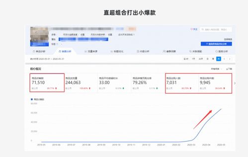 三、 直通车推广与淘宝补单