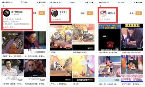 五、内容为王：打造个性化风格