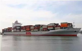 三、 2025年沙特海关货柜滞留破局策略